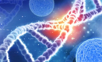 Scientists Generate the First-Ever Complete Sequence of the Human Genome